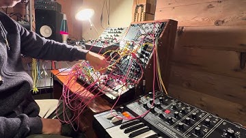 Fun with mutable instruments! Plaits, rings, peaks and ears