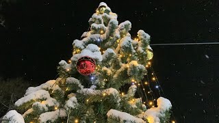 Ночь перед Рождеством в Боровске❄️🎉