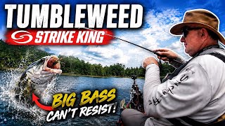 Bass EXPLODE on the Strike King Tumbleweed!