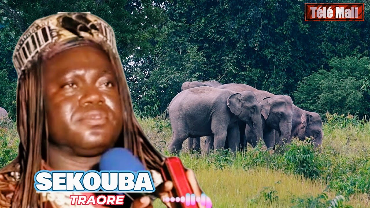SEKOUBA TRAORE (DAGA KEITA YIRIBOUGOU KARATA) (PARTIE 1) (2025)