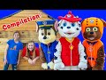 Assistant looks for paw patrol chickoletta on the farm compilation