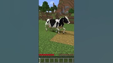 #Minecraft #Reality VS #Realistic #Shorts #Parts33