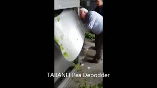 TABANLI PEA DEPODDER