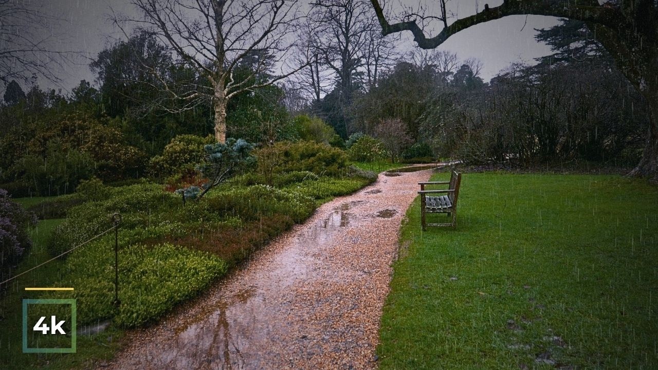 Relaxing Rain Walk Through a Quiet Park 🌧️ 4K Nature Ambience | ASMR ...