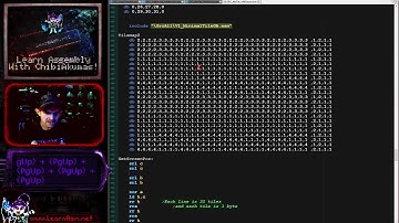 Interrupt Driven Music on the Gameboy / GBC - Z80 Lesson P89