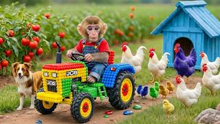 Monkey NaNa Saves Ducks & Rebuilds Their Broken House! 🐒🚜 JCB Tractor Rescue Story