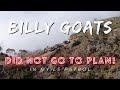 Billy goats bluff  did not go to plan