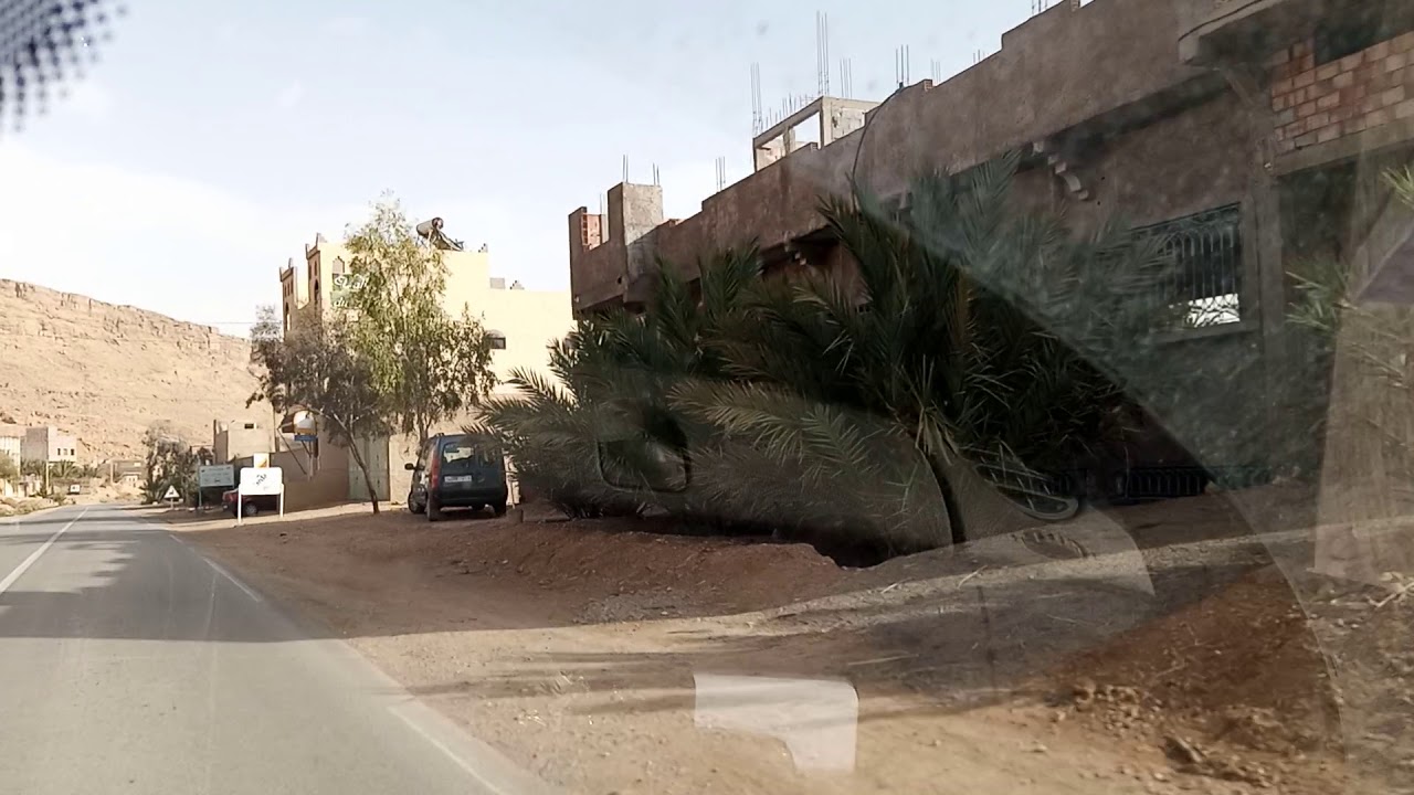 بلادي يا زينة البلدان الرتب(اوفوس)