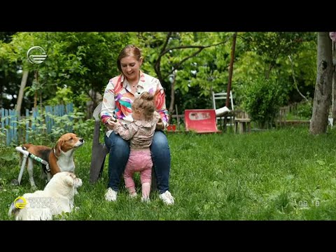 ბიგლი ბაბისა და ნიტას მეგობრობის ისტორია