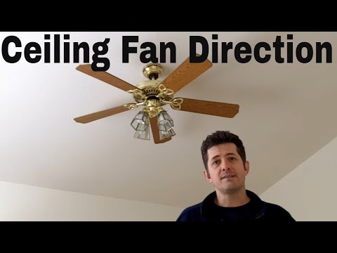 Fanforsummer You, Which Way Does A Ceiling Fan Need To Turn In The Summertime