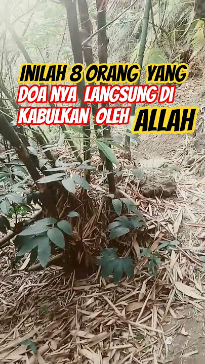 inilah 8 orang yang do'a nya langsung di kabulkan oleh allah#statuswa #seputardakwah #quotes #short