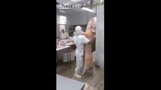 Un uomo che balla con un maiale