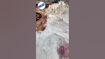 Foam scraping #52 #satisfying #asmr #carpetcleganin #shorts #carpetcleaning #oddlysatisfying