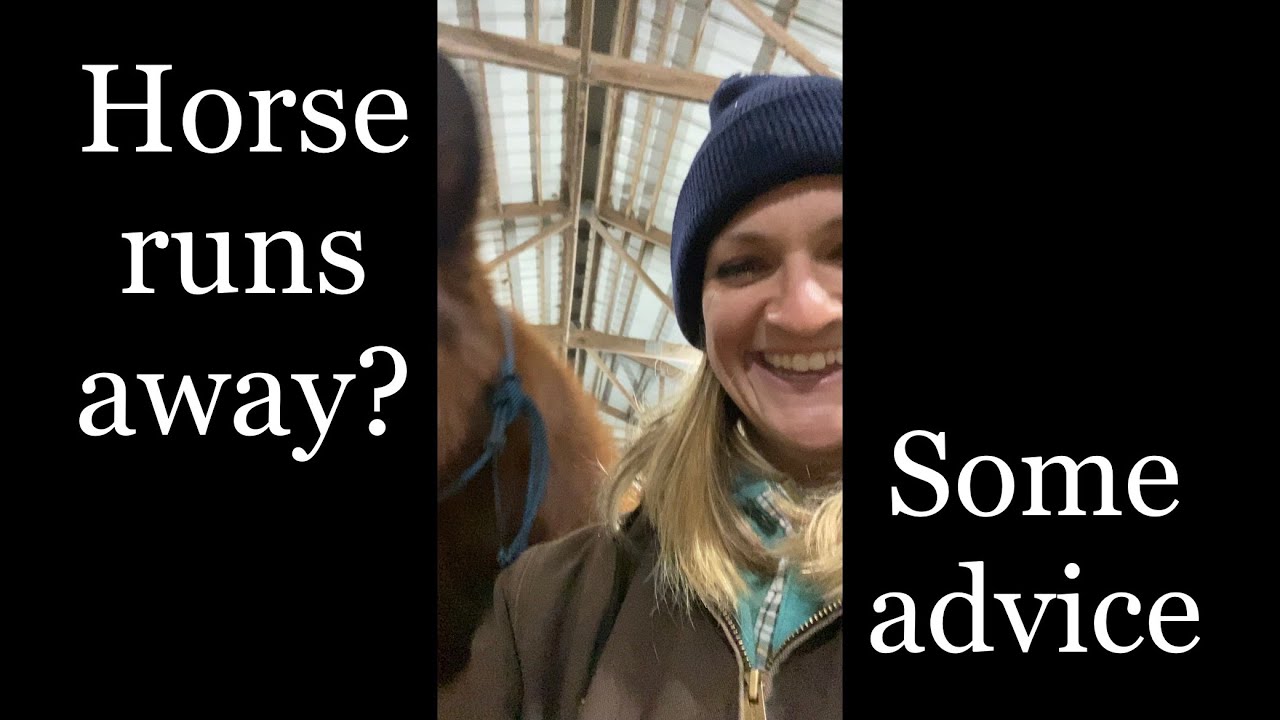 Horse hard to catch? Try this... YouTube