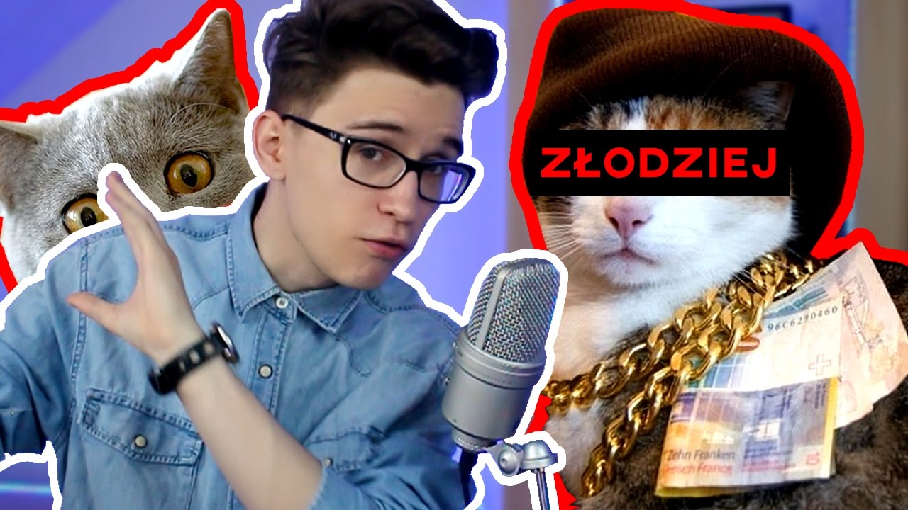 Kot WŁAMUJE SIĘ do mieszkania?! - DZIWNE FILMIKI / Sheo humor or humour