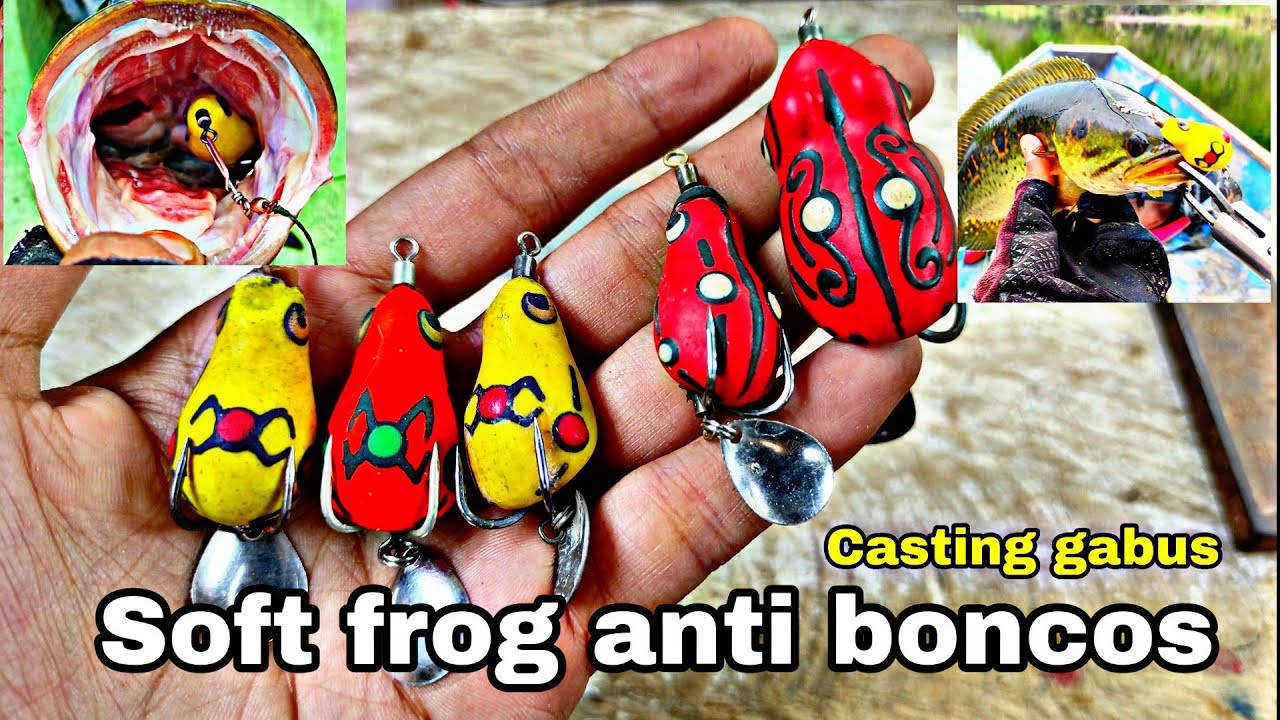 🔴CARA MEMILIH SOFT FROG YANG BAGUS, UNTUK PEMULA ANTI BONCOS