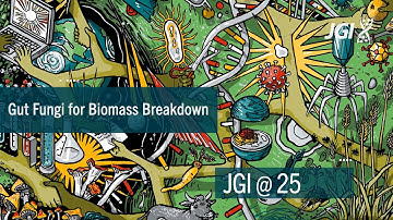 JGI@25: Fungi For Biomass Breakdown