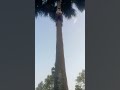 aap dekh sakte hain Kitna garmi utaar per chadh hai