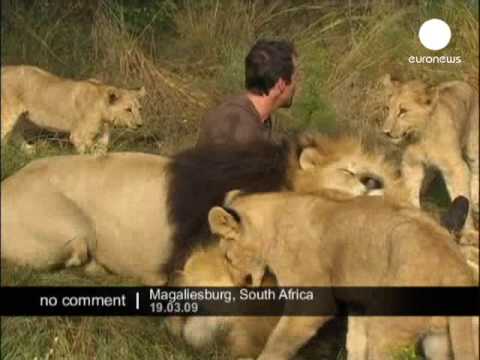 www.euronews.net Hugs with Lions in South Africa