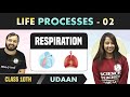 Life Processes 02 | Respiration | Class 10| NCERT | Udaan