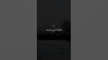 ﴿فقلت استغفروا ربكم إنه كان غفارا﴾ // تلاوة خاشعة جميلة بصوت ماهر المعيقلي ارح سمعك #ماهر المعيقلي