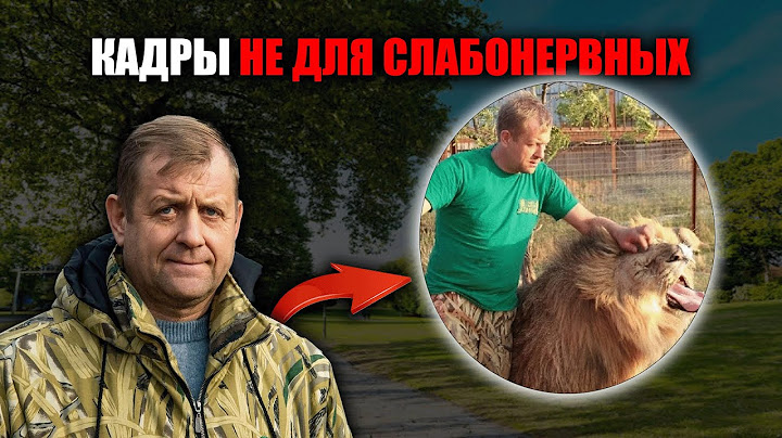 Царь зверей обратился против него… Что произошло с Зубковым — шокирует даже бывалых