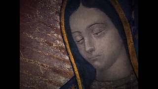 Los ojos de Santa María de Guadalupe - Virgen María de Guadalupe