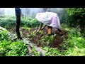 Life With Nature || video - 45 || Planting Grass ||