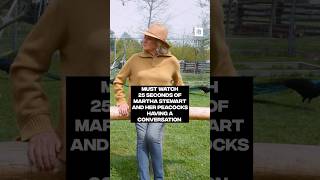 Martha Stewart talks to her peacocks every day #OnDisplay
