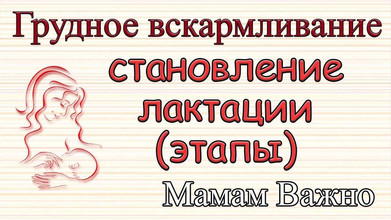 Этапы становления лактации. Как наладить ГВ?