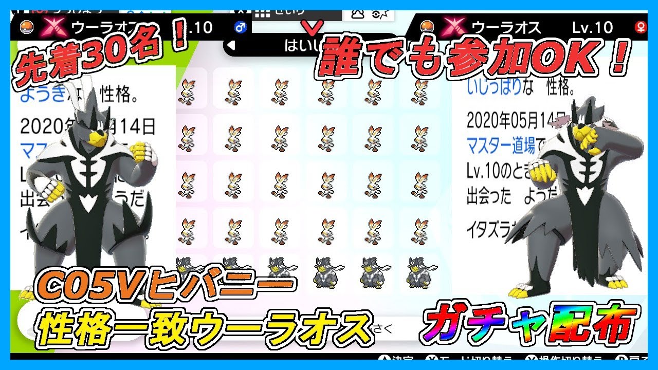 ポケモン剣盾 性格一致ウーラオス 理想個体夢ヒバニーランダム配布 視聴者参加型 Youtube