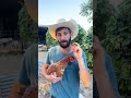 5 facts about farming!