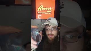 The HEMP Dispensary Review comin