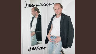 Video thumbnail of "Jonas Lundqvist - Någons jävla saker"