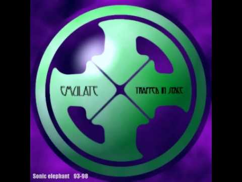 Emulate (2) — Emulate - Sonic Elephant