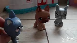 Lps: The 3 Little Piglets.