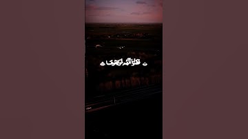 القارئ _ محمد اللحيدان#قرآن #اكسبلور #إستمع #لايك