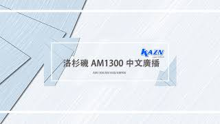 洛杉矶AM1300 五味杂谈直播：从Sora说到AI的发展