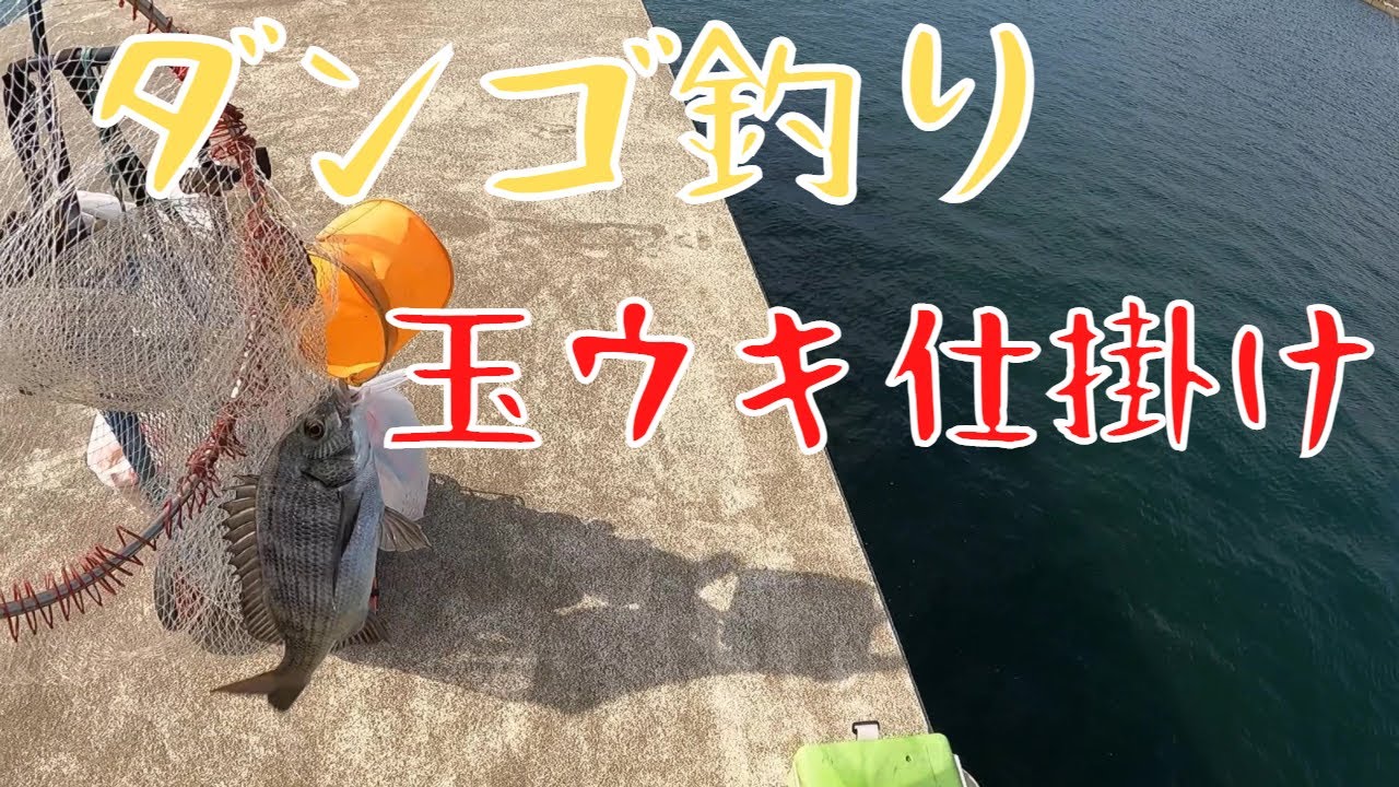 田原市伊良湖港でダンゴ釣りしましたっ！