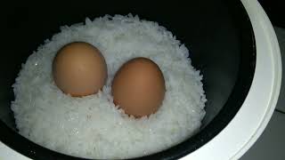 Masak pake rice cooker Gampang & praktis.