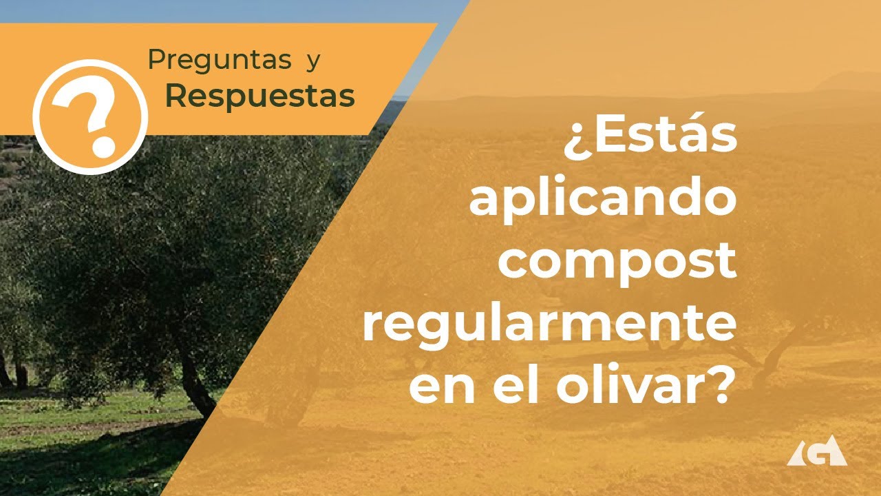 ¿Estás Aplicando Compost Regularmente en el Olivar?