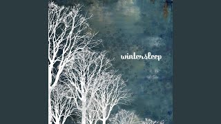 Video thumbnail of "Wintersleep - Avalanche"