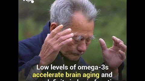 Your brain needs Omega 3 fatty acids to function properly