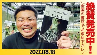 NHK出版から本日発売❗️12か月栽培ナビNEO ビカクシダ