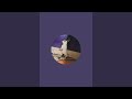 Wildlife Travels is live