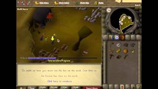 2007 Old School RuneScape - Tutorial Island, a New Start!