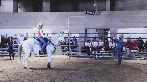 Helping An Anxious, Herd Bound Horse