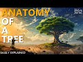 Tree Anatomy and Functions: Exploring Parts and Their Roles