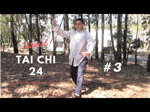 タイ チキンライス Tai Chi forma 24 - Tutorial - Clase #3-