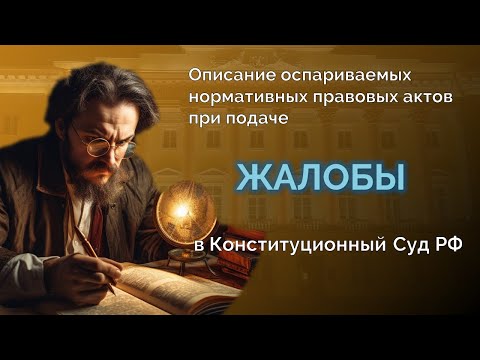 Каким должно быть правильное описание обжалуемых в Конституционном Суде РФ законов?